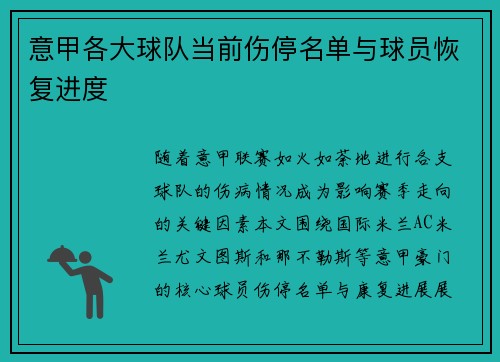 意甲各大球队当前伤停名单与球员恢复进度