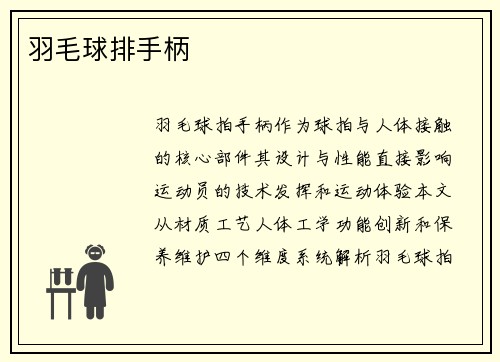 羽毛球排手柄